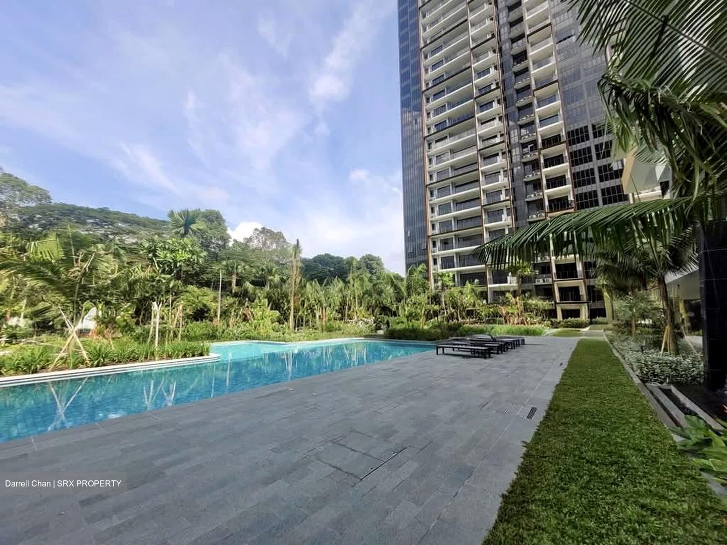 Midwood (D23), Condominium #546553231